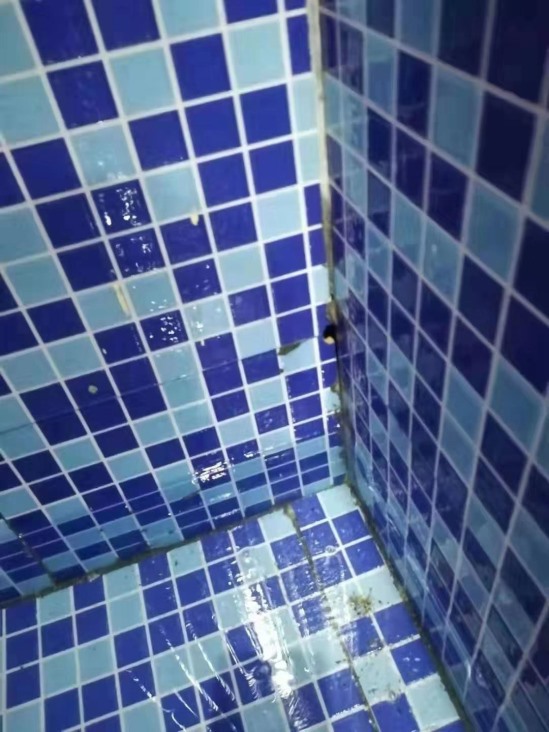 免砸轉(zhuǎn)透明防水膠施工方法